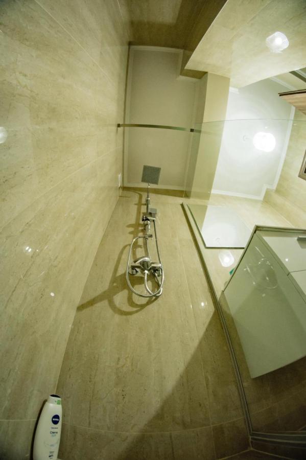 Apartment Gabriela'S Home Oradea Εξωτερικό φωτογραφία