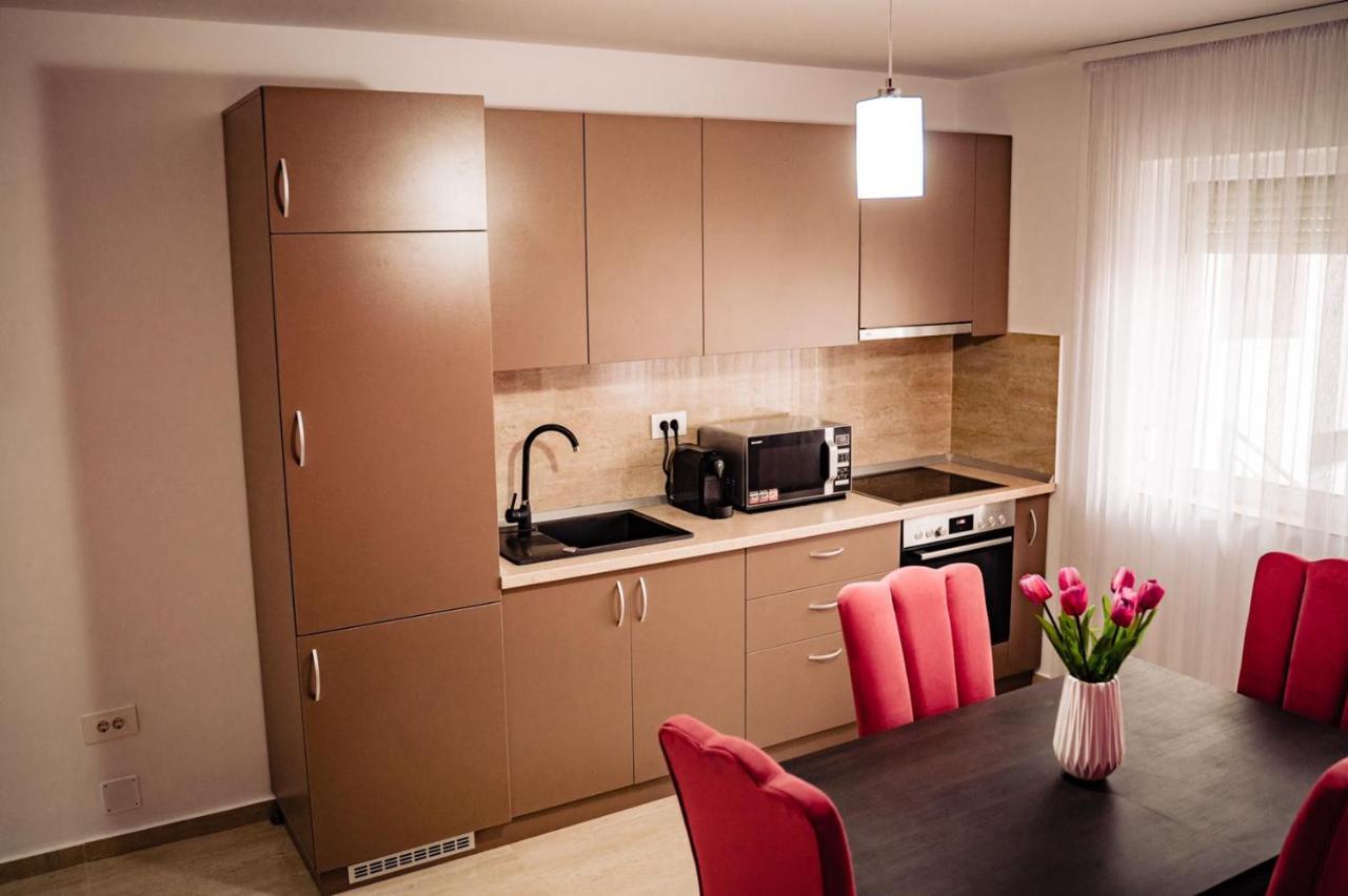 Apartment Gabriela'S Home Oradea Εξωτερικό φωτογραφία